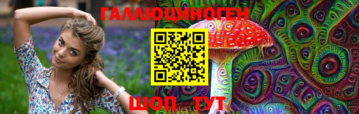 Псилоцибиновые грибы прущие грибы  купить наркотик  Мыски  Вход с VPN 